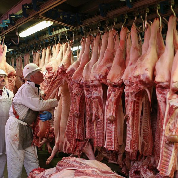 meat