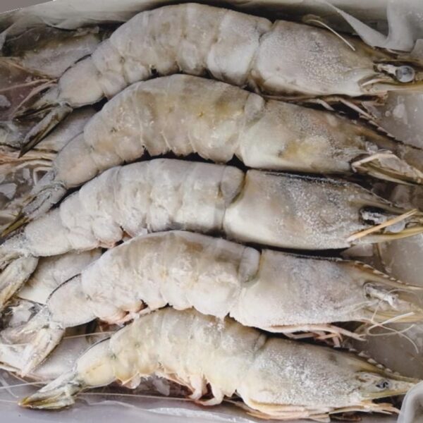 seafood
